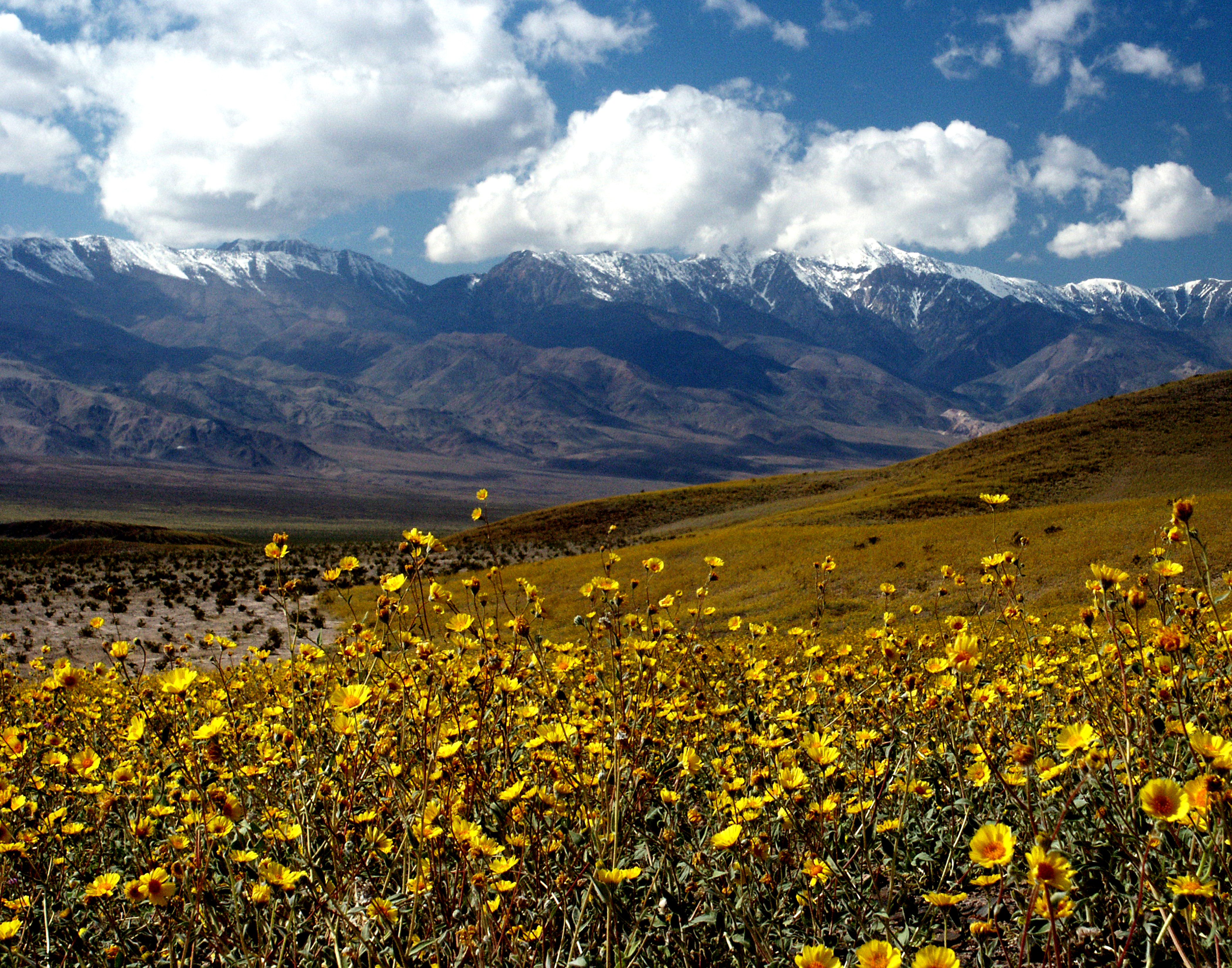 Image 3 of 9 in gallery section. Image title is Death Valley.