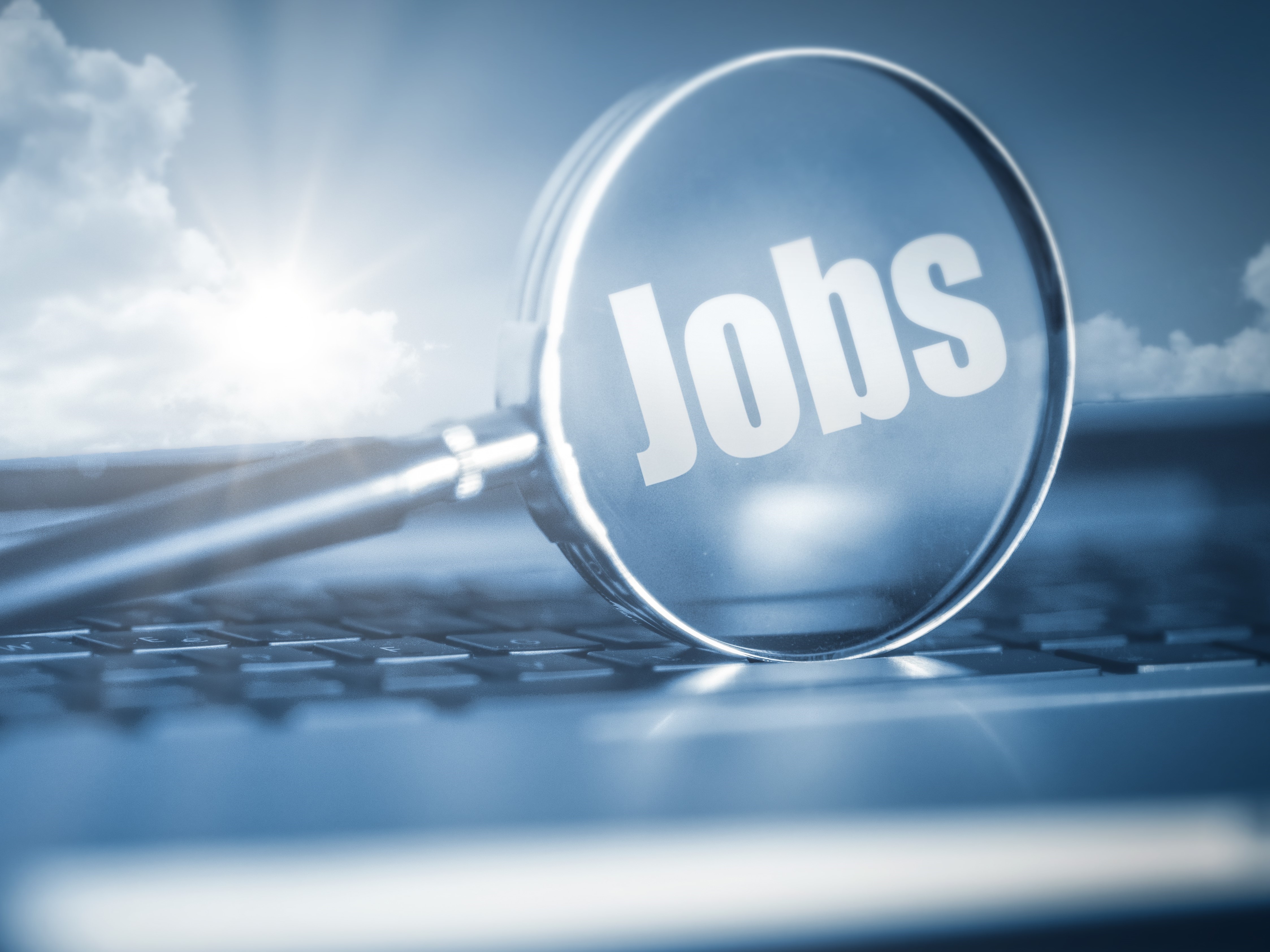 Image 1 of 13 in gallery section. Image title is JobSeekers.